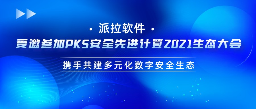 派拉软件与奇安信结成战略合作伙伴，携手共建多元化数字安全生态